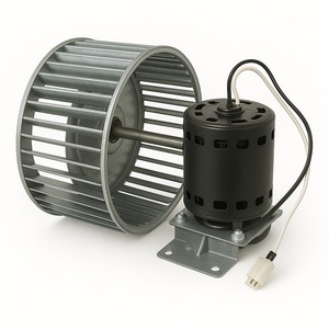 Blower Motor Assemblies